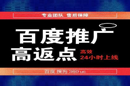 竞价推广实战攻略：成功案例分享